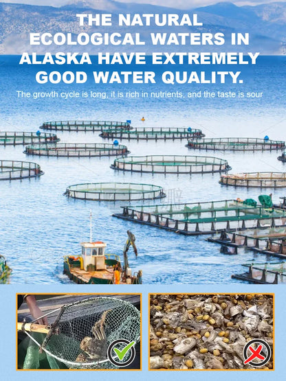 Alaskan Snow Crab Ready-to-EatCrispy Crab-Lily